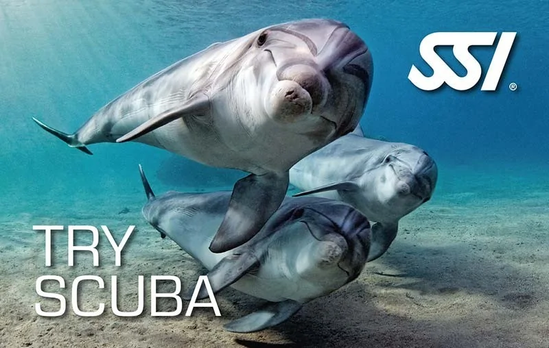 Curs scufundari - Try SCUBA | SCUBA Tribe DIVE CENTER - 1