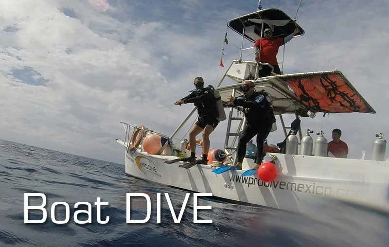 SCUBA program Boat DIVE | SCUBA Tribe DIVE CENTER - 1