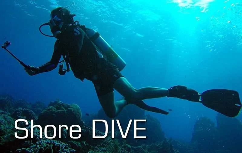 SCUBA program Shore DIVE | SCUBA Tribe DIVE CENTER - 1