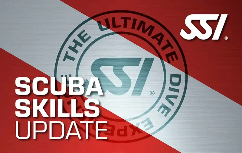 certificare scuba diving ssi scuba skills update